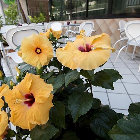 Hotel Scarlet Rimini Exterior photo
