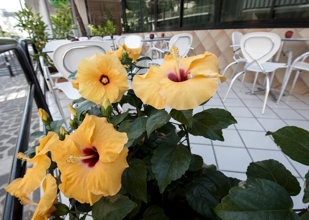 Hotel Scarlet Rimini Exterior photo